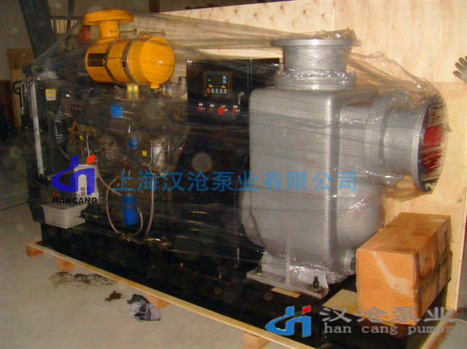 HCZ型固定式柴油机自吸泵